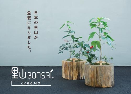 アーバン シード バンク里山bonsai プロジェクト ひこばえタイプ 株式会社q Garden キューガーデン